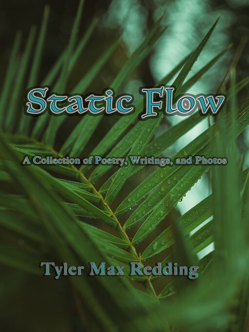Title details for Static Flow by Tyler Max Redding - Available